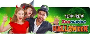 Halloween at Zoomarine