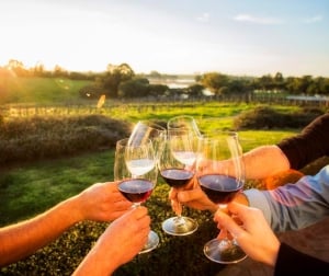 Harmony Wellness Retreat Portugal