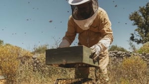 Honey Harvesting Experience Viceroy at Ombria Algarve