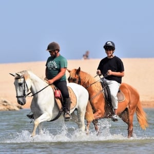 Horse Riding Beach Sunset Sunrise