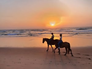 Horse Riding Beach Sunset Sunrise