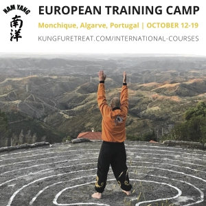 Kung-Fu European Training Camp