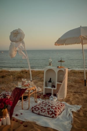 Picnics Event Spirit