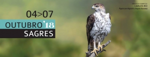 Sagres Birdwatching Festival 2018