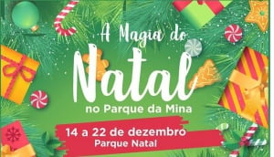 The Magic of Christmas at Parque da Mina