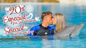 Valentine's with the Dolphins at Zoomarine