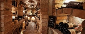 Wine Cellar Tasting and Dining Experience