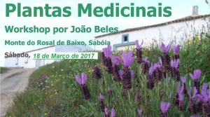 Medicinal Plants Workshop