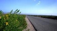 Algarve Expat Guide