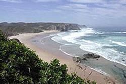 Praia do Amado Beach