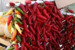 Top 10 Algarve Attractions