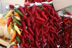Best Tips about Algarve