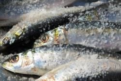 Top 10 Portuguese Food