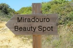 Top 10 Scenic Drives