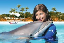 Dolphin Emotions at Zoomarine, Algarve