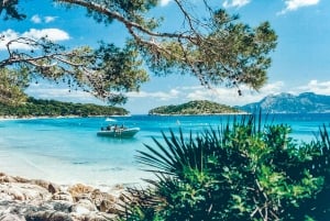 Alcudia: Formentor Beach, Lighthouse Cruise, and Small Group