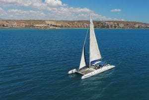 Аликанте: 2-часовой круиз на катамаране во второй половине дня