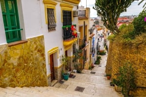 Tour a piedi di Alicante: monumenti e vita locale