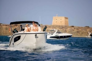 Alicante: 8-timmars kryssning till ön Tabarca med privat båt