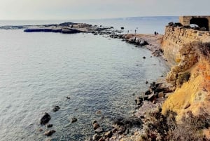 Alicante: 8-timmars kryssning till ön Tabarca med privat båt