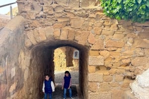 Alicante: 8-timmars kryssning till ön Tabarca med privat båt