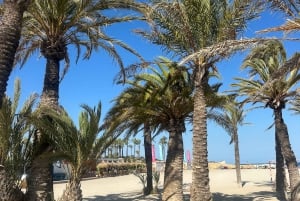 Alicante: Yoga-Kurs am Strand von Playa del Postiguet (Englisch)