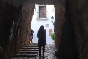 Alicante Benidorm: cascada del Algar y castillo de Guadalest en coche