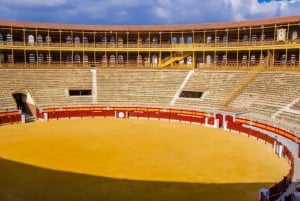 Alicante: tour guidato dell'arena e del castello con trasferimento in taxi