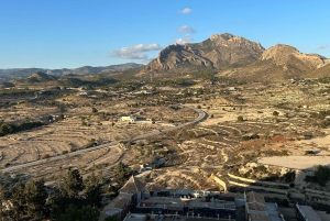 Alicante: Grotta di Canelobre viaggio nel tempo + tour di Busot \trasporto privato