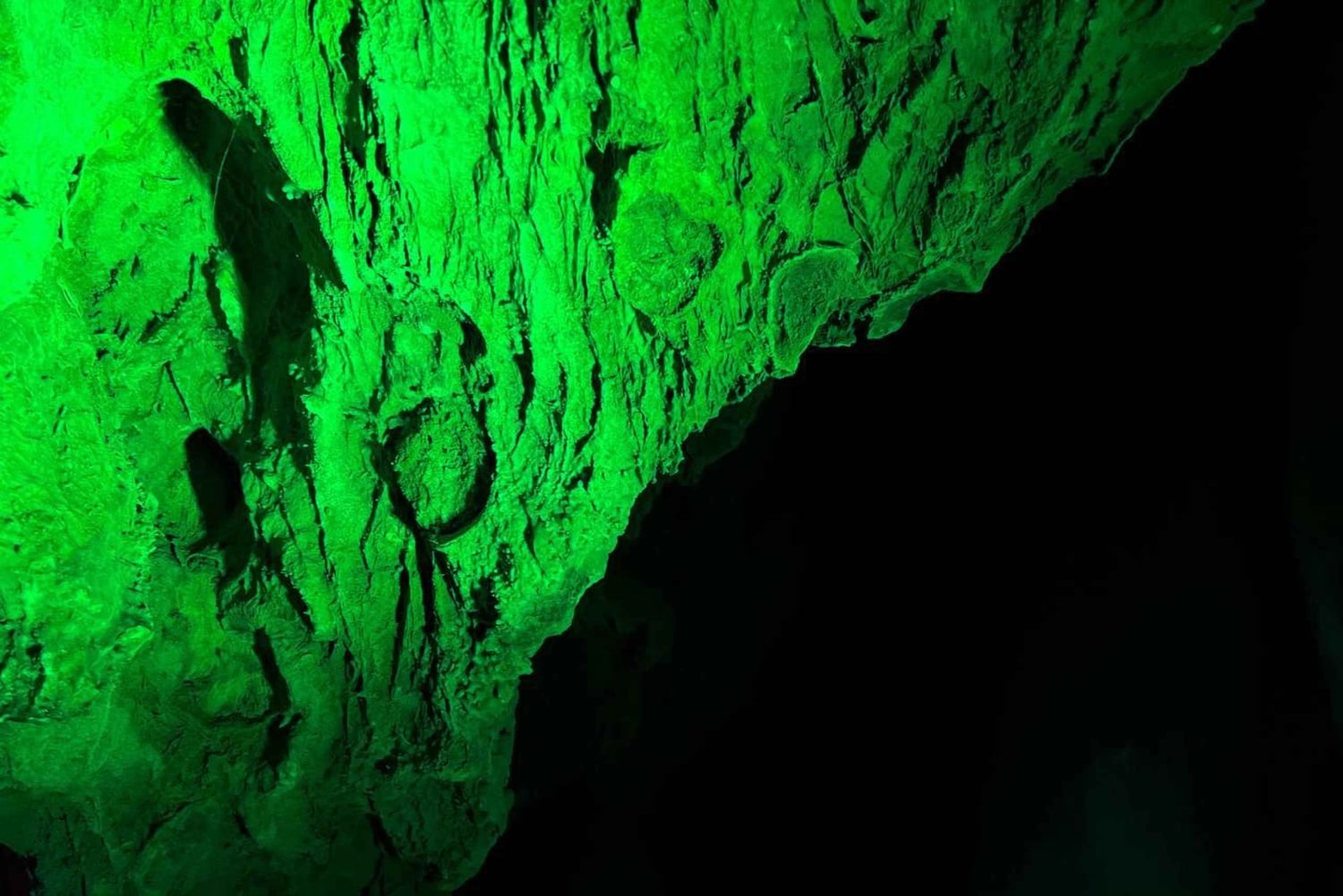 Alicante: Höhlen von Canelobre und Busot Tour