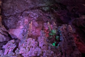 Alicante: Höhlen von Canelobre und Busot Tour