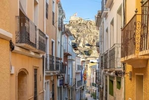 Alicante: Canelobre Caves & Busot Tour with Local Guide
