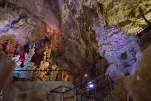 Alicante: Canelobre Caves & Busot Tour with Local Guide