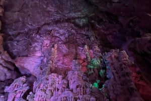 Alicante: Canelobre-hulene og Busot-tur med henting på hotellet