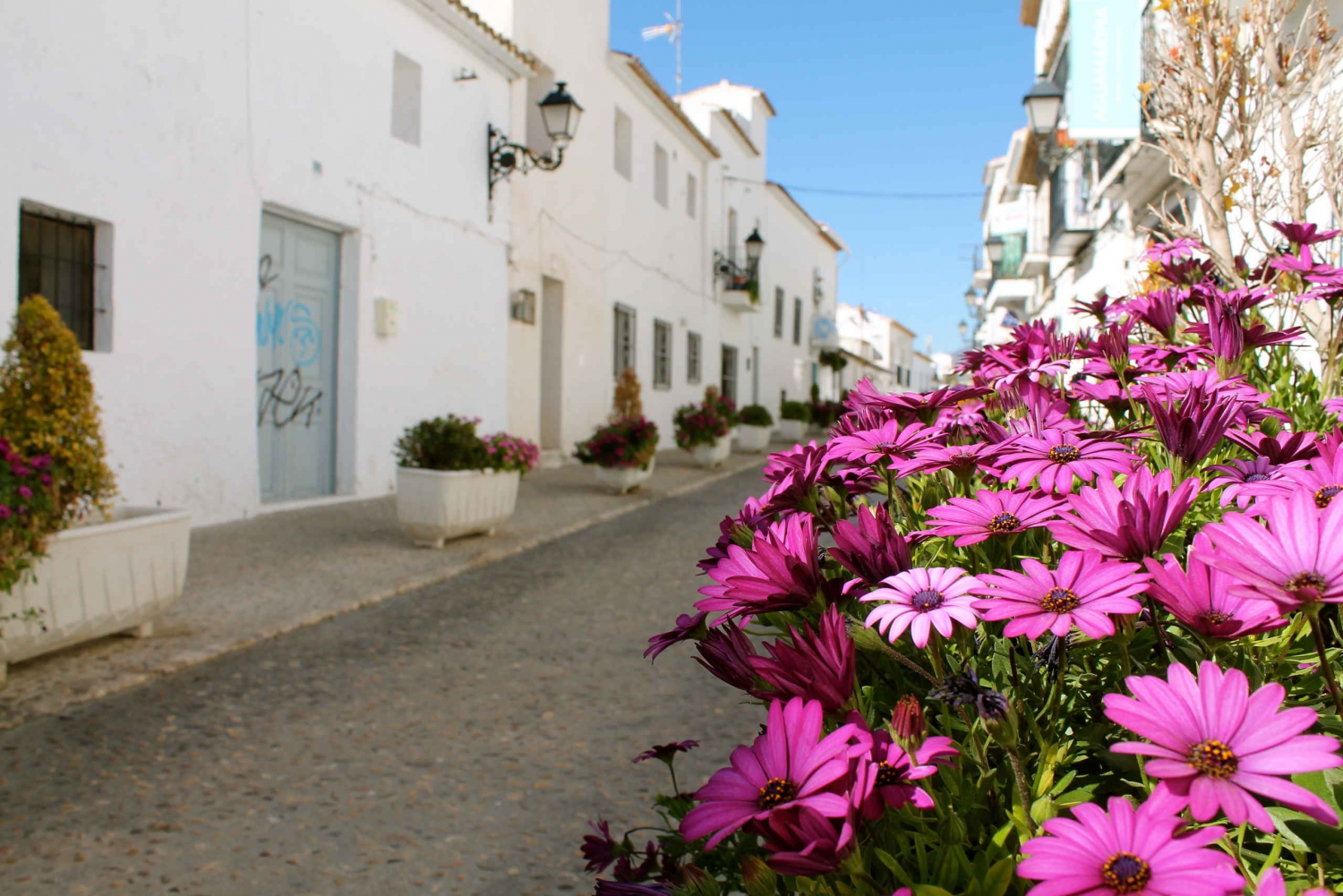 Alicante Charming Villages Tour: Villajoyosa and Altea