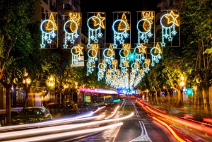 Alicante: Tour de luces de Navidad en Tuk Tuk