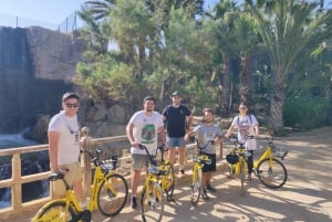 Alicante: cykeltur til byen og stranden