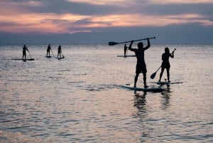 Alicante: Stadsrondleiding en SUP Board verhuur