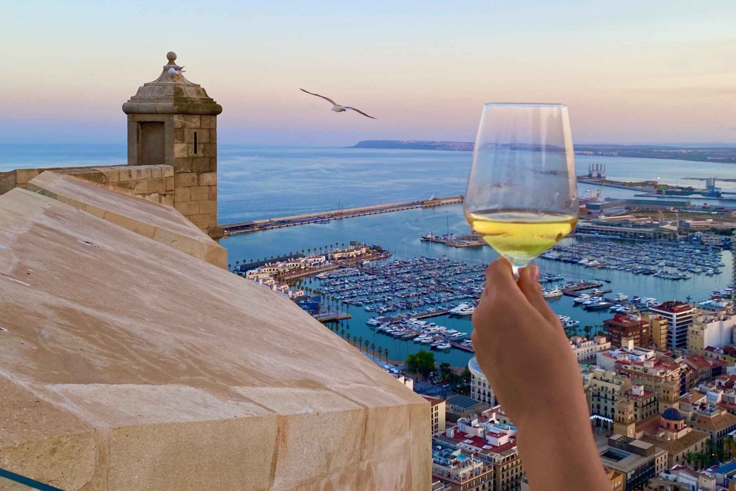 Santa Bárbara Castle Alicante D.O Wine Tasting + Oil
