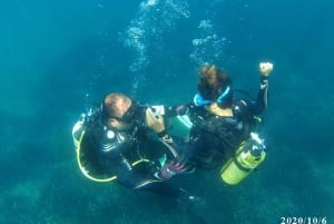 Alicante: Duiken voor beginners in Denia