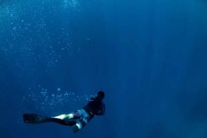 Alicante: Discover Scuba Diving Experience
