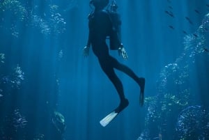 Alicante: Discover Scuba Diving Experience