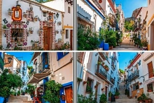 Alicante: E-Bike & Walk, Stare Miasto Santacruz, Bazylika