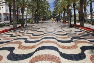 アリカンテ＆エルチェ：サンタ・バルバラ城訪問付き日帰りツアー