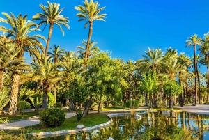 アリカンテ＆エルチェ：サンタ・バルバラ城訪問付き日帰りツアー