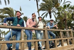 Alicante: electric scooter tour