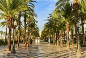 Alicante: electric scooter tour