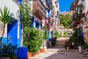 Alicante: electric scooter tour