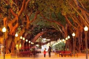Alicante: electric scooter tour