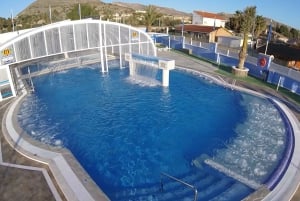 Alicante: Termas de Fortuna com transporte